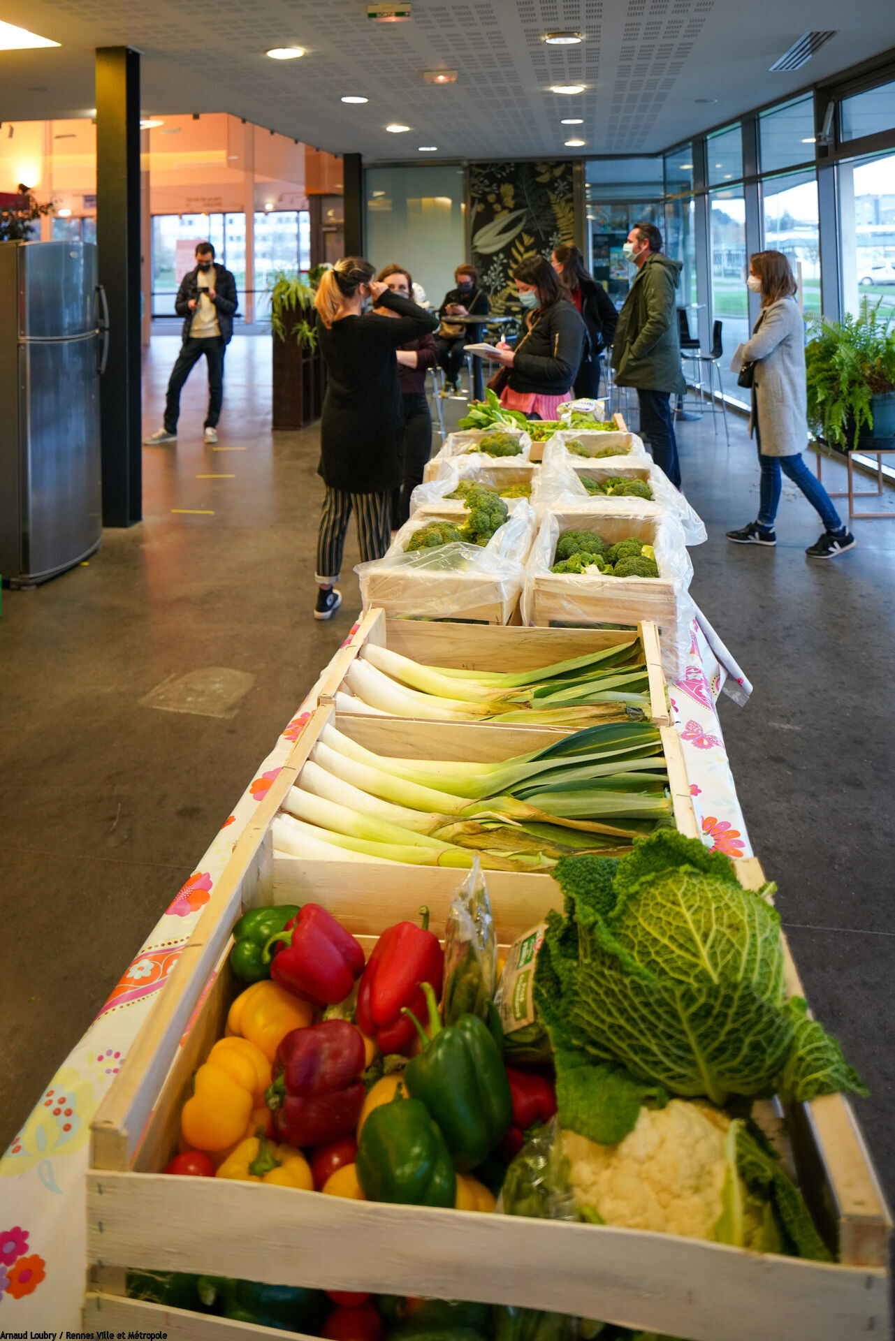 Etal de cagettes de légumes dans un local